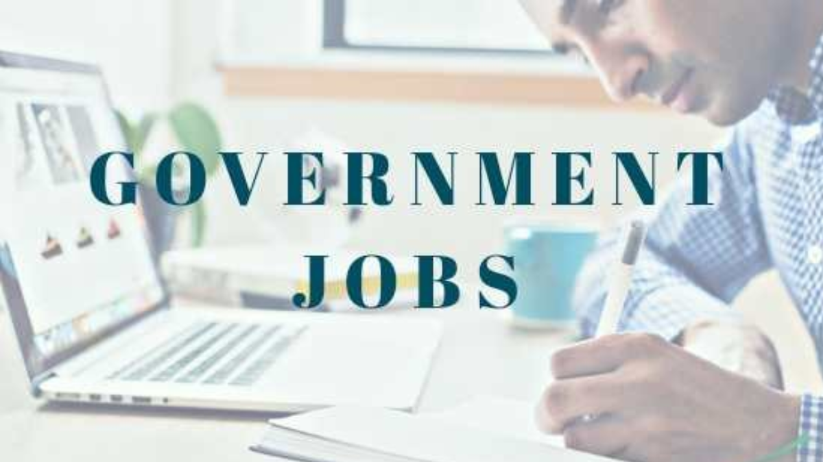 Government Job